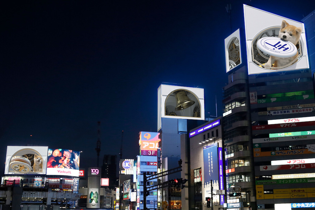 Photo: Hit Co., Ltd.