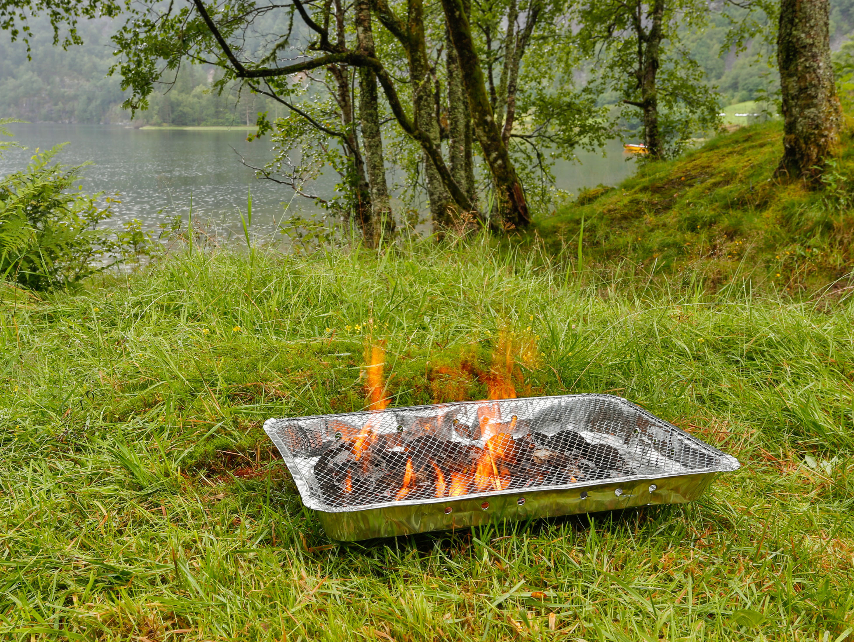 The London Fire Brigade is asking Sadiq to ban disposable barbecues