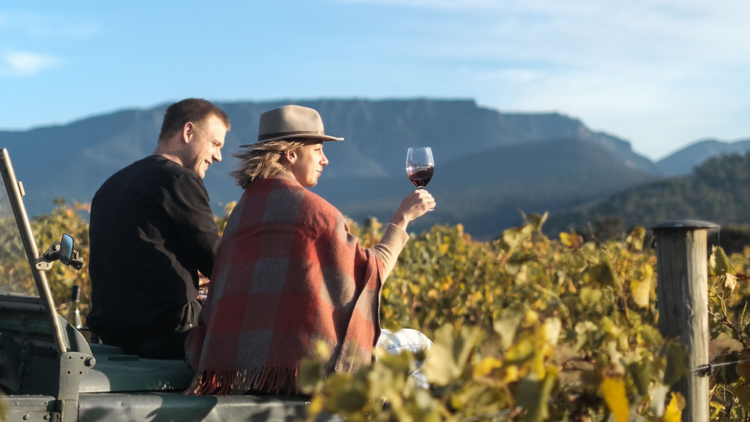 A couple sitting in the back of a ute parked in a vineyard.