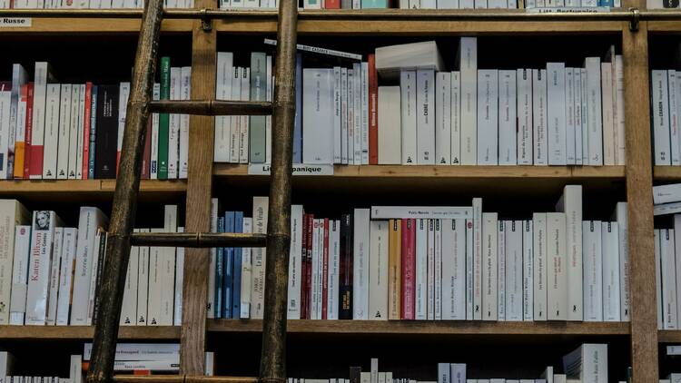 A ladder flanking shelves lined with books.