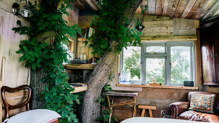 The treehouse in Kent