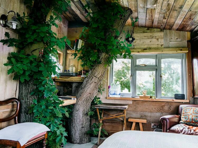 The treehouse in Kent