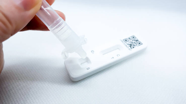 rapid antigen self-test kit