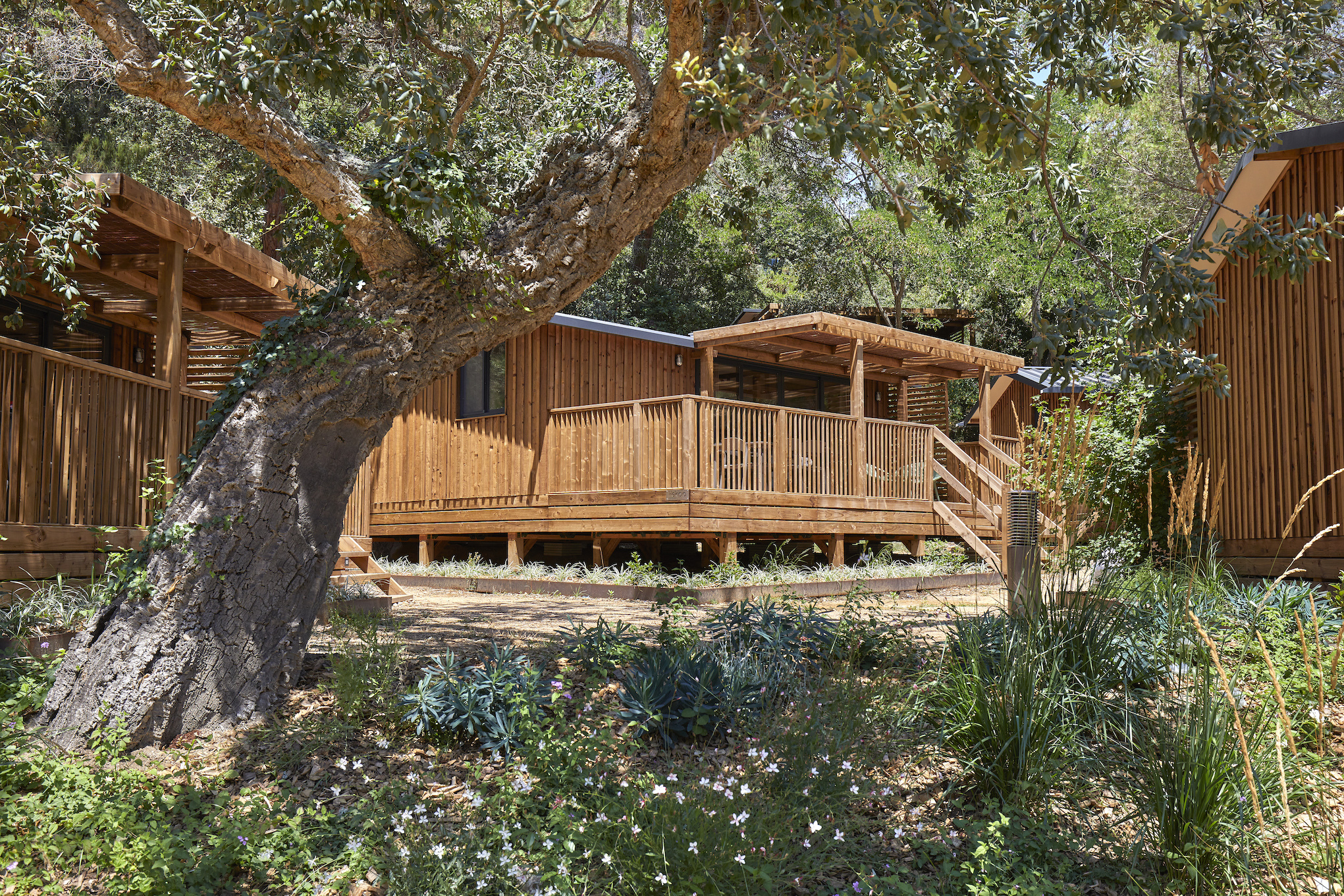 Pola Giverola Latroupe Camp