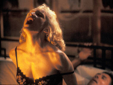 Body of Evidence (1993) Body of Evidence (1993)