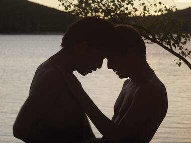 Stranger By the Lake (2013) Stranger By the Lake (2013)