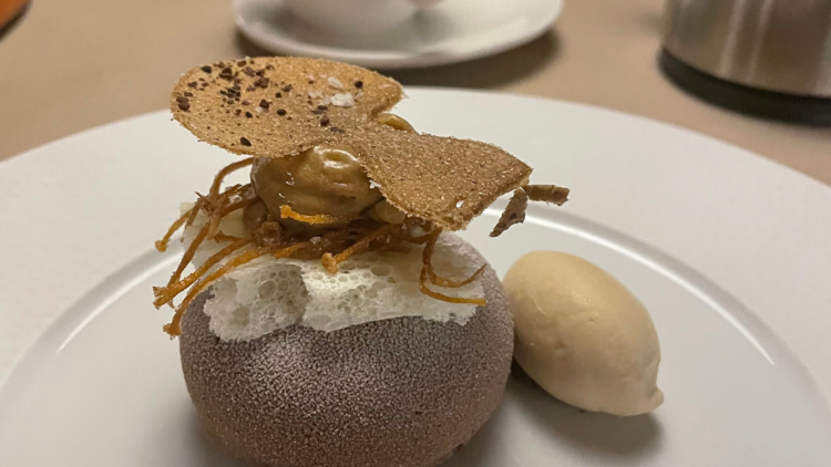 Mushroom tiramisu with caramelised mushrooms and chicory ice cream.