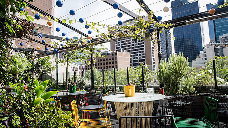 A rooftop is graced with colourful outdoor furniture, vines crawl along an open pegola