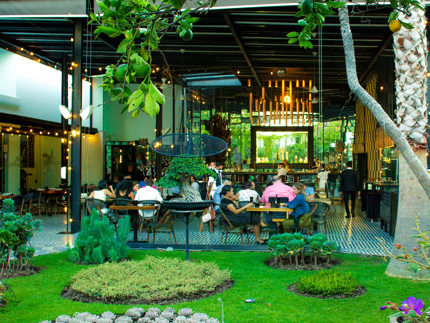 20 Best Restaurants In Mexico Right Now
