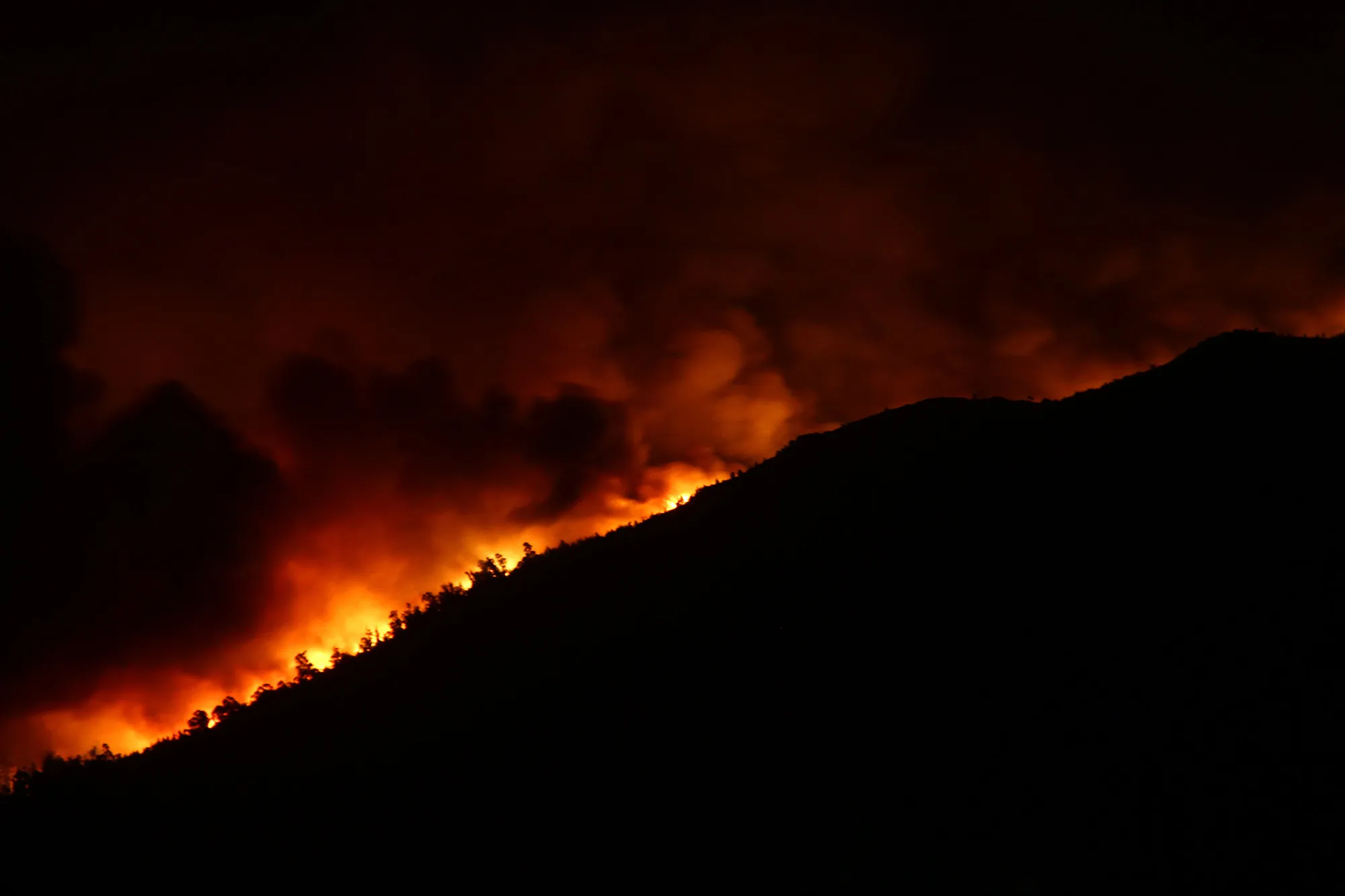 Incendio