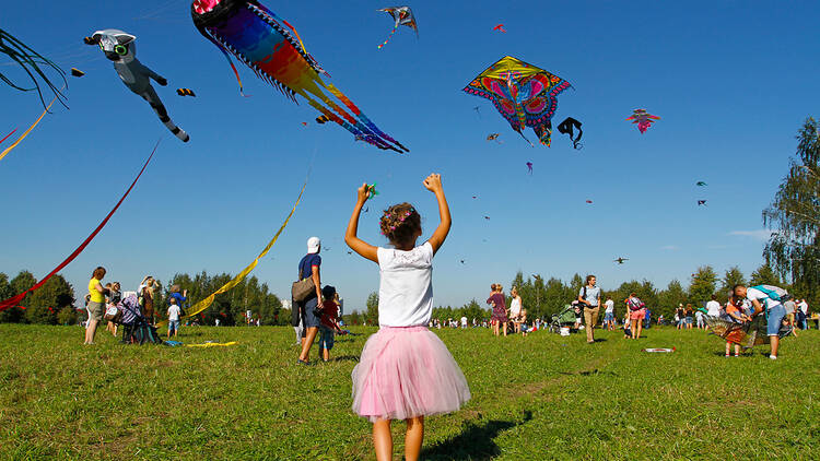 Kites in the sky