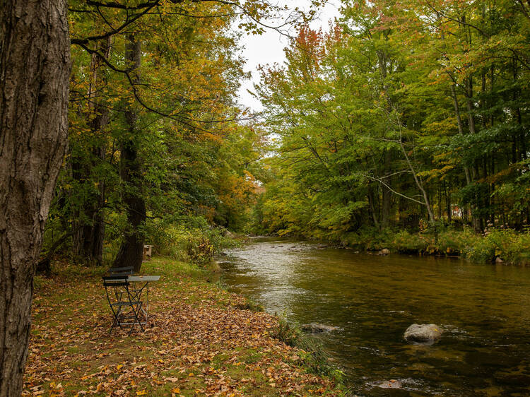 Fall Foliage Boston: 18 Best Leaf Peeping Spots in New England For