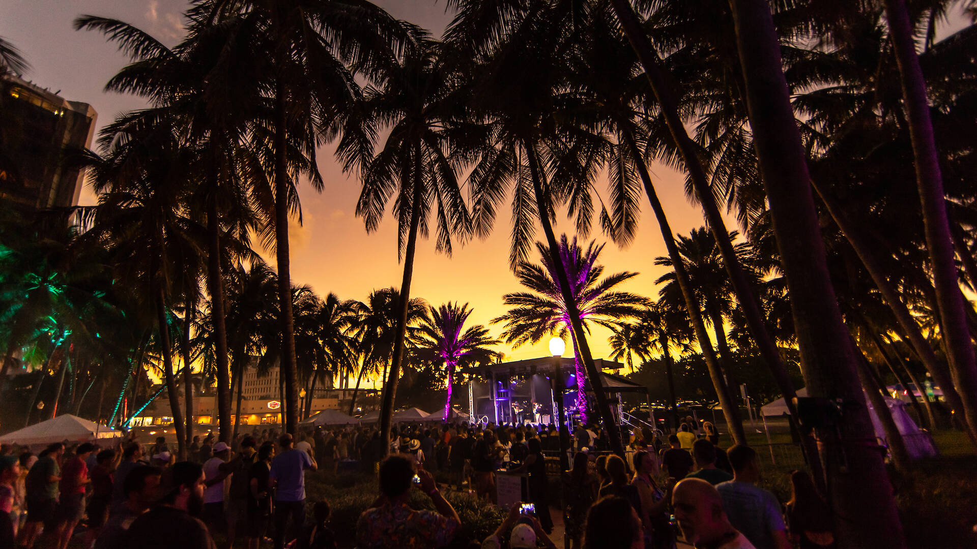 Best November Events in Miami to Mark on Your Calendar in 2023