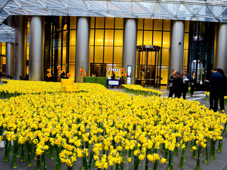 A sea of yellow daffodils in a hotel lobby.