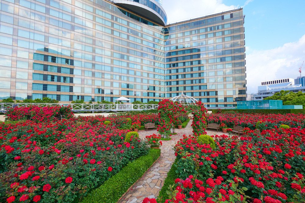 3万輪の真紅のバラ咲く「屋上庭園」がホテルニューオータニ東京に登場