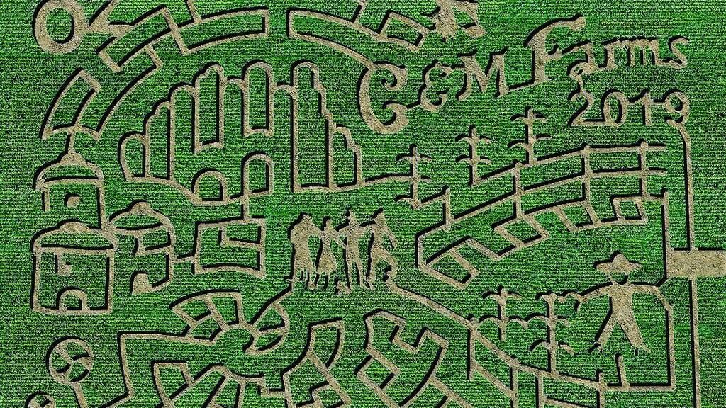 Best Corn Mazes in the Bay Area 8 Fun and Spooky Mazes