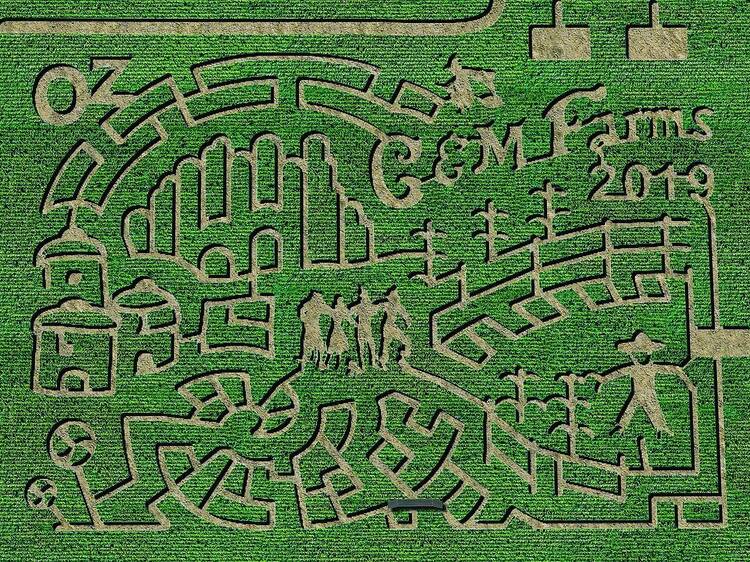 The best corn mazes in the Bay Area this fall