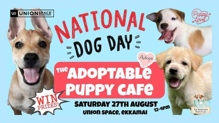 World Dog Day Adoption Event