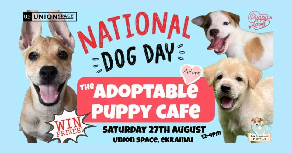 World Dog Day Adoption Event