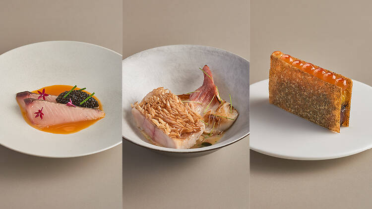 Blue by Alain Ducasse x Meta