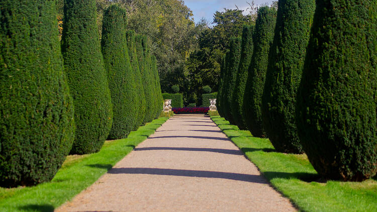 Wander the gardens at Erddig