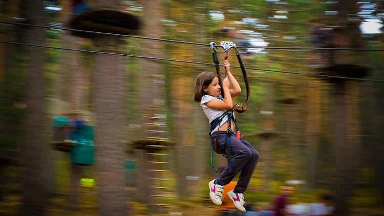 Aventura Amazonia