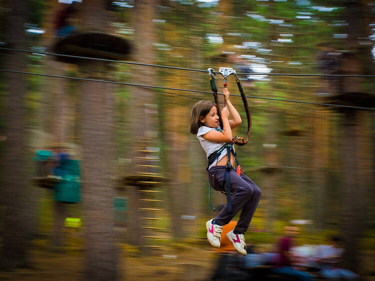 Aventura Amazonia