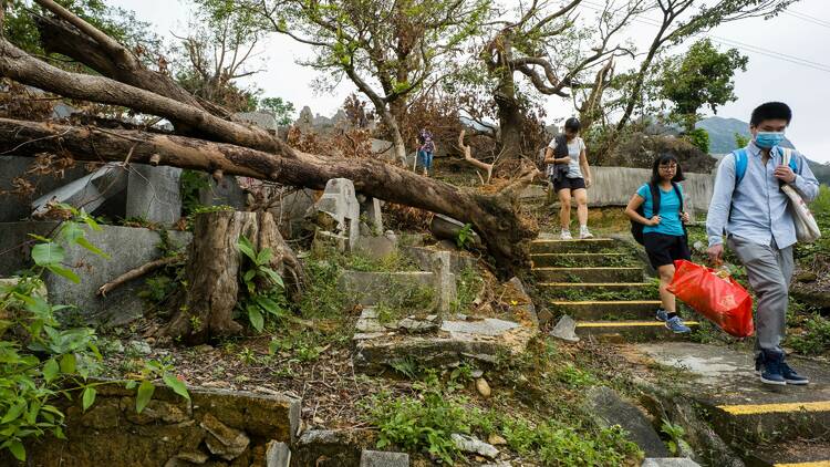 Typhoon Mangkhut, 2018