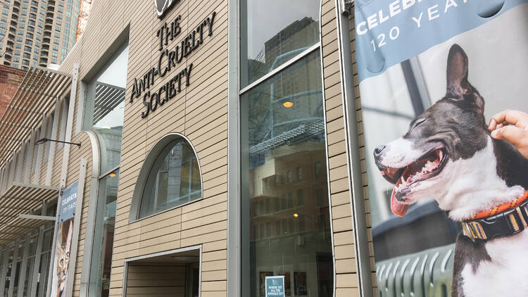 The front of the Anti-Cruelty Society building in River North