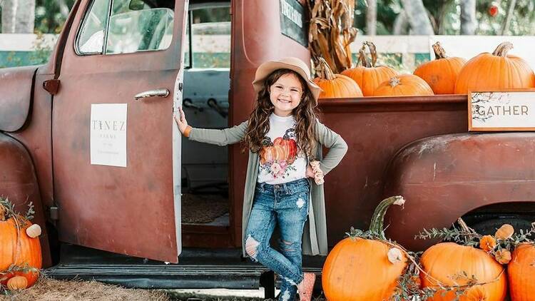 Tinez Farms Fall Festival