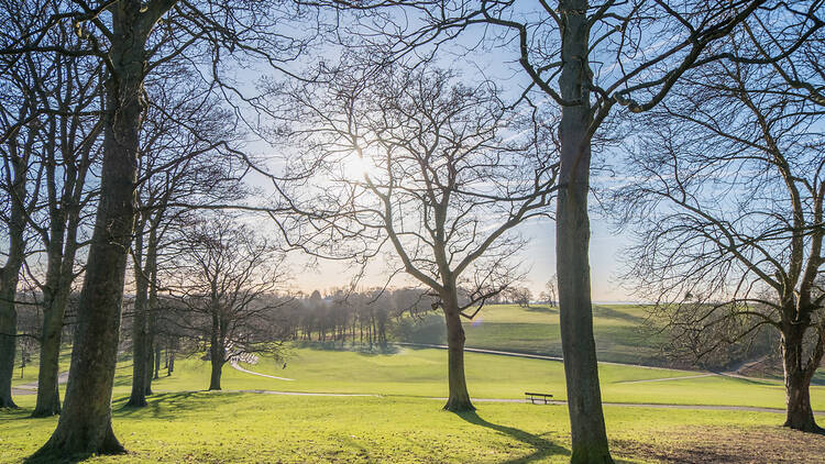 Get your green fix at Roundhay Park