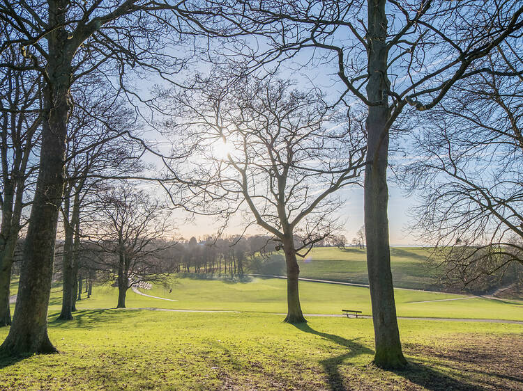 Get your green fix at Roundhay Park