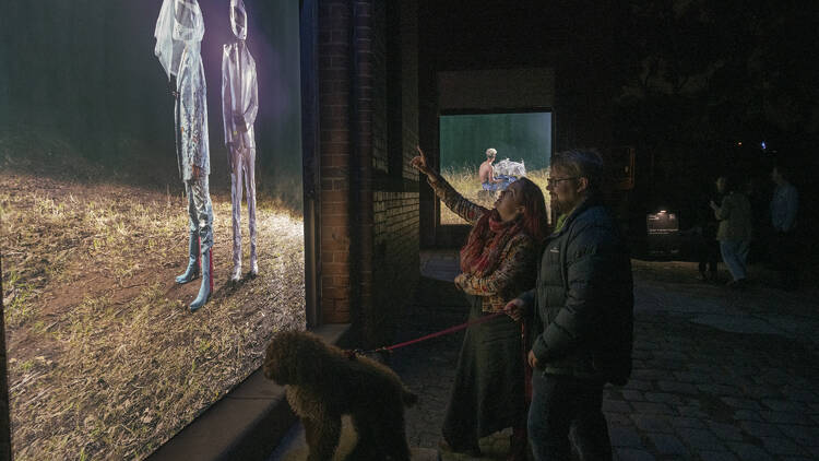 Two people walking their dog at night look at an illuminated artwork on the side of a building