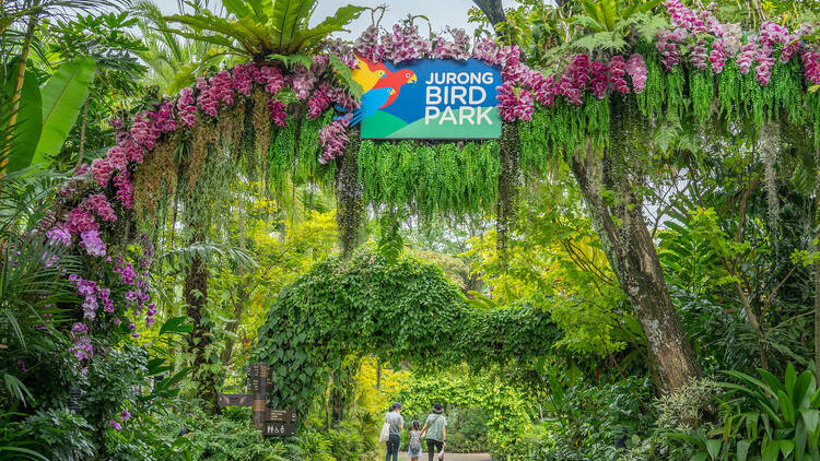 Jurong Bird Park