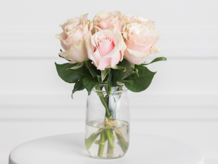 The 10 Best Flower Delivery Services in Miami | Online Florists 2024