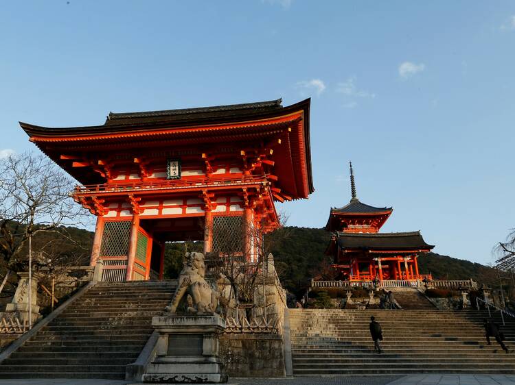 一覽放寬旅遊限制國家 一覽放寬旅遊限制國家