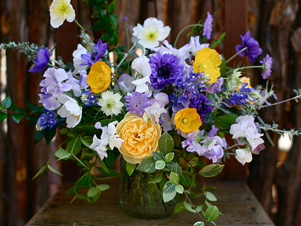 10 Best Flower Shops in Austin For All Your Floral Needs