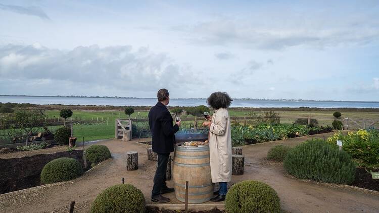 A couple looking out on a view at a winery