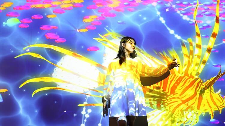 Experience Digital Art at Maxell Aqua Park Shinagawa