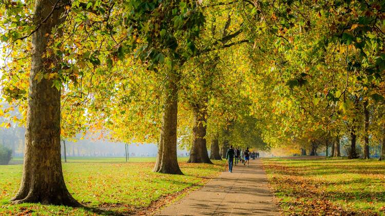 couple walking in park