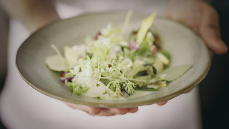 An elaborate entree in an oyster shell