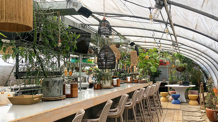 Greenhouse Bar