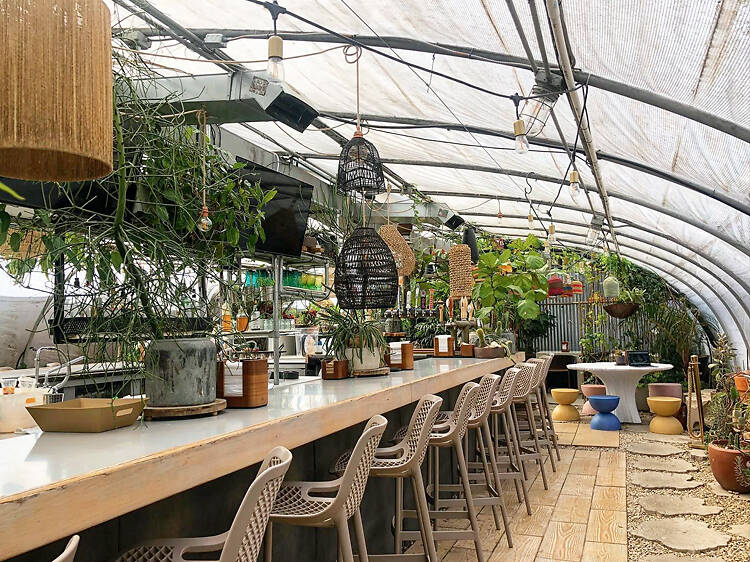 Greenhouse Bar