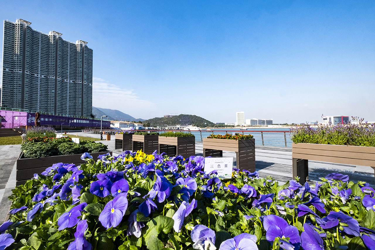 Tung Chung East Promenade | Things to do in Tung Chung, Hong Kong