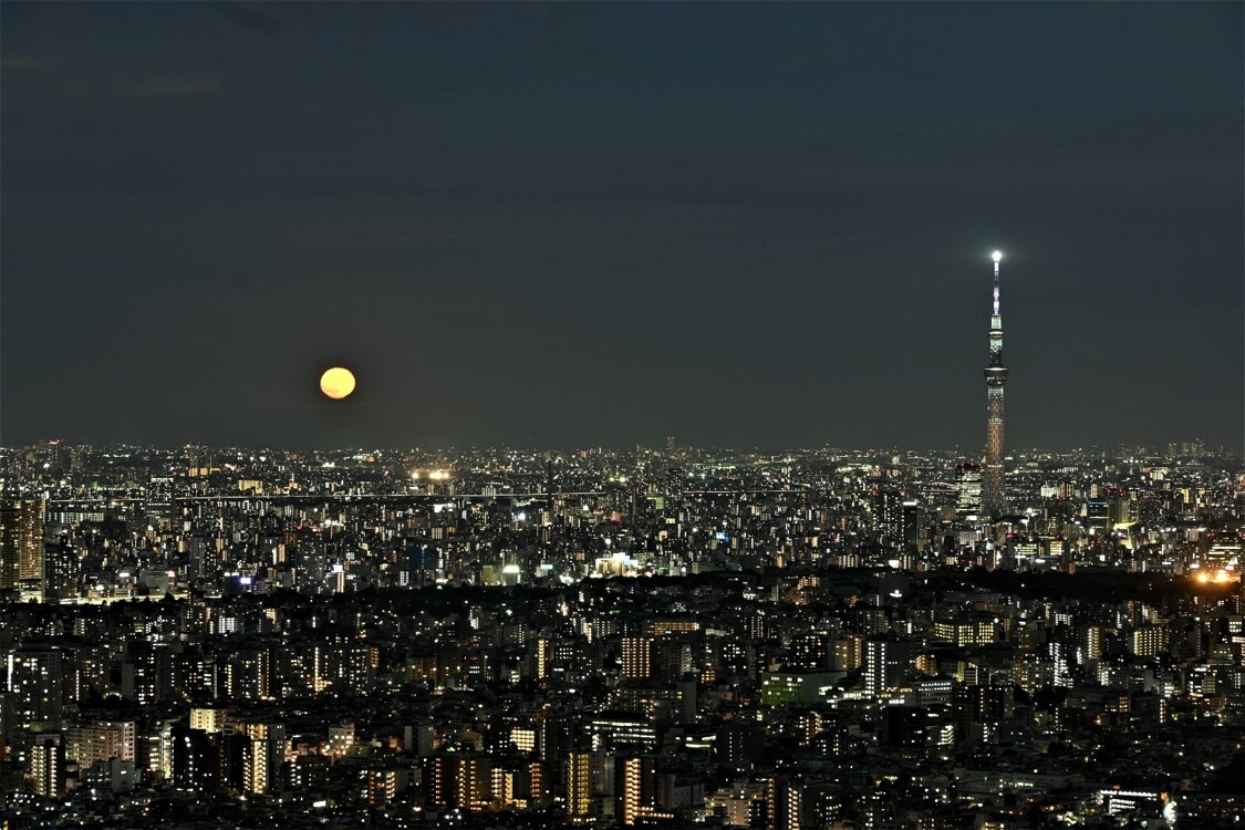 Moon-Viewing at Sky Circus Sunshine 60 Observatory | Things to do in Tokyo