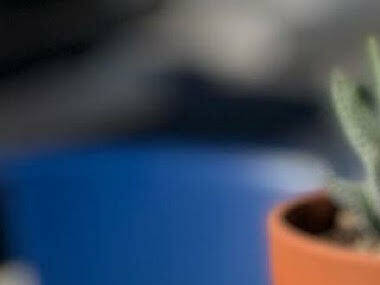 For the Win For the Win