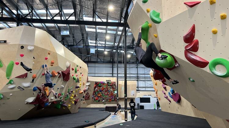 A group of rock climbers in an indoor facility. 