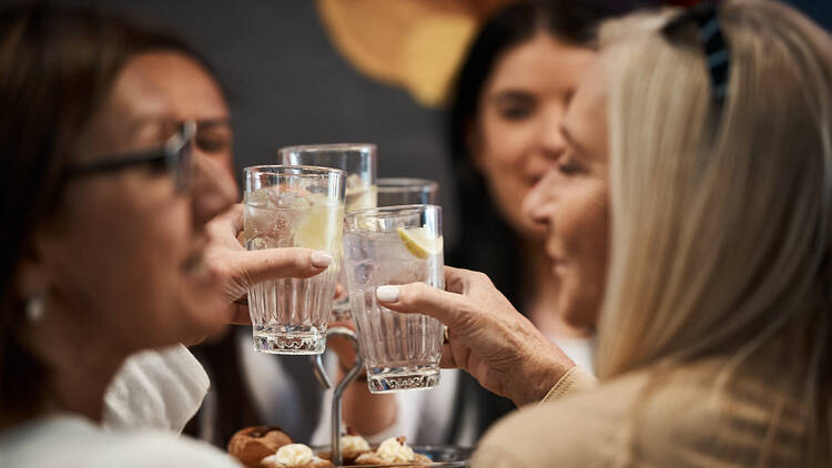 A group of friends cheers with their gin and tonic cocktails