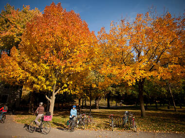 Enjoy the view from Mount-Royal and trails in and around Montreal