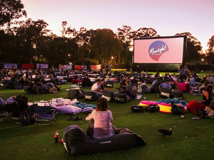 Catch a flick under the stars